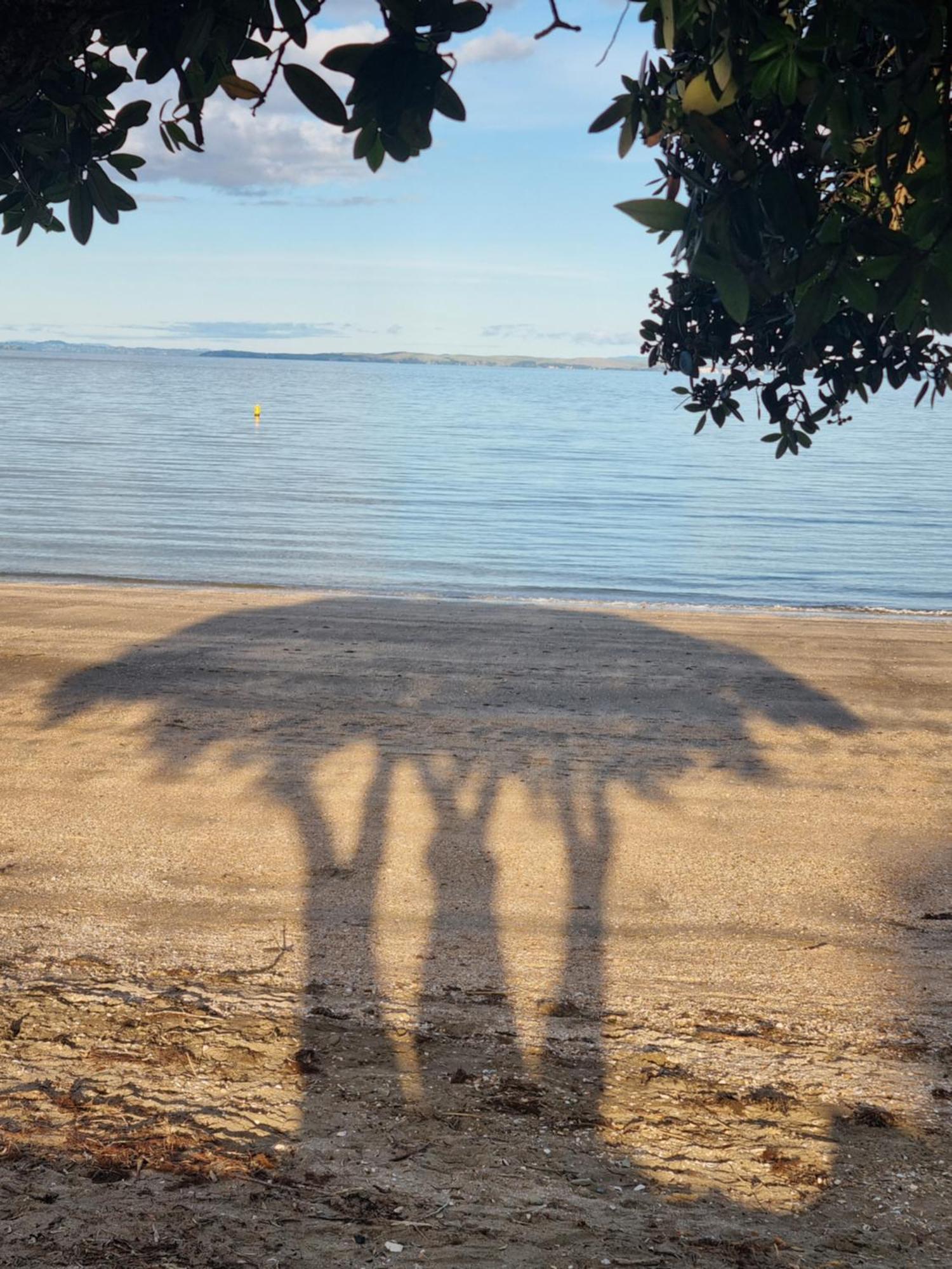 Beachfront Beauty Whangaparaoa Dış mekan fotoğraf